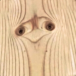 Avatar de l’utilisateur/utilisatrice